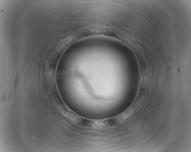 X0000067950623200604201433