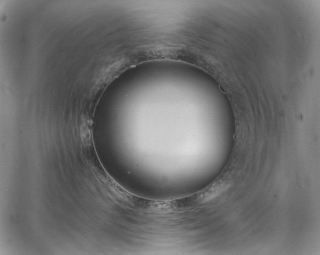 X0000067950624200604201433