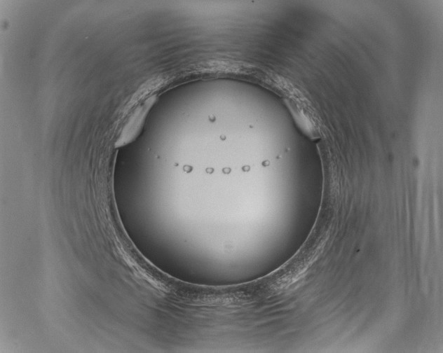 X0000067950625200604201432