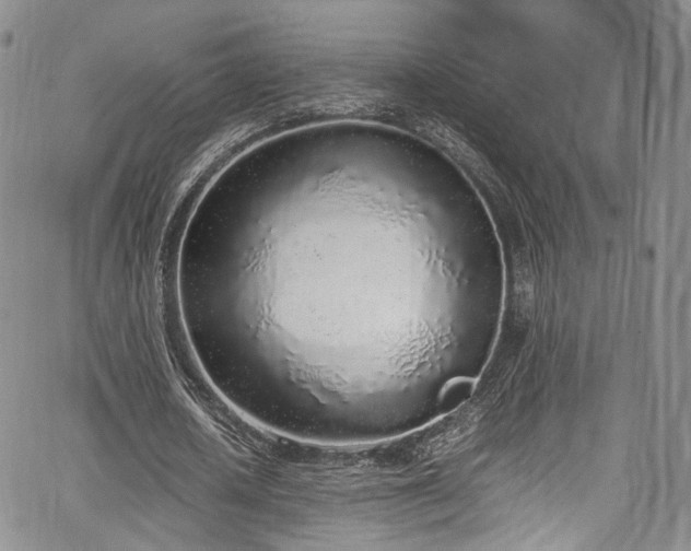 X0000067950626200604201432