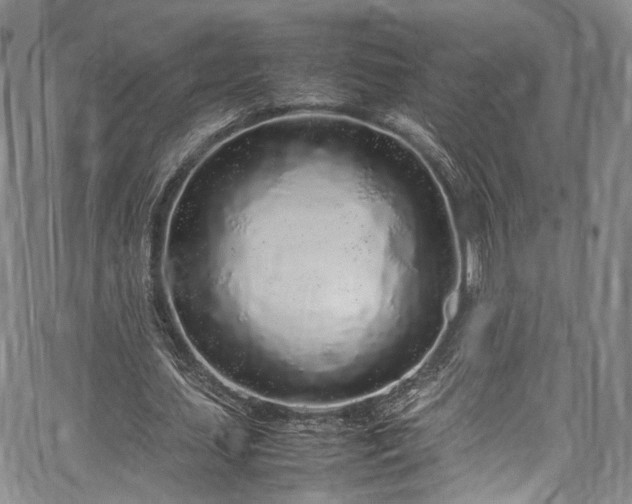 X0000067950627200604201432