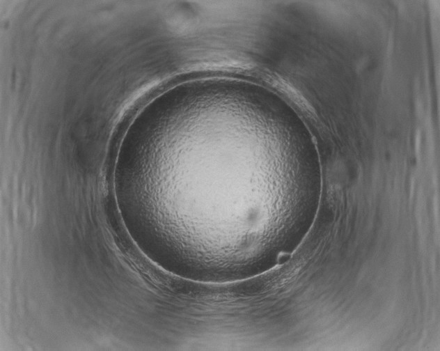 X0000067950628200604201432