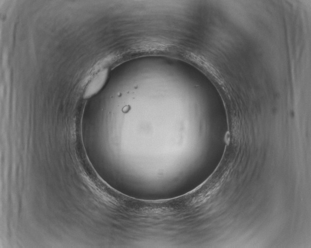 X0000067950629200604201432