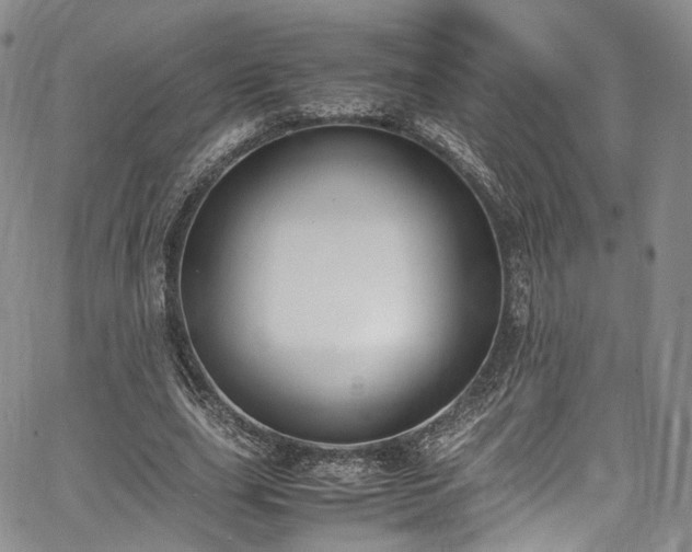 X0000067950631200604201432