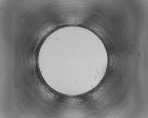 X0000067950632200604201432