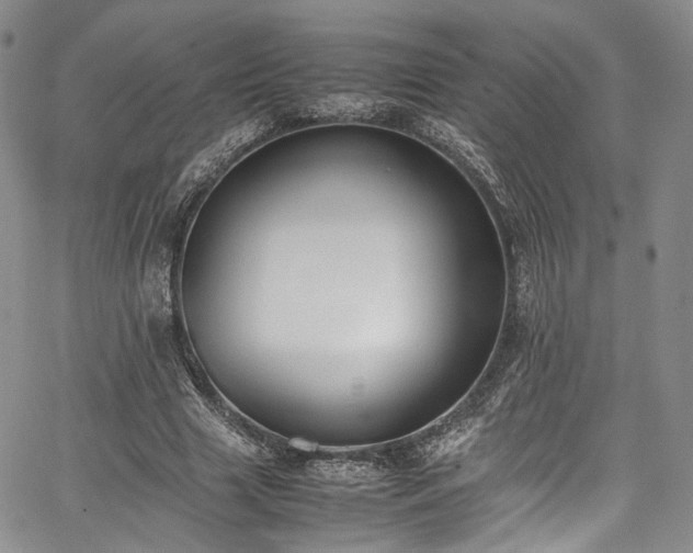 X0000067950633200604201432