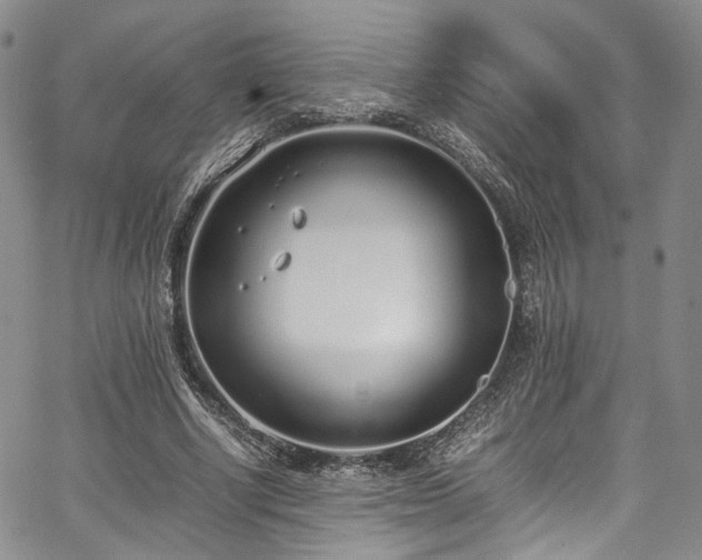 X0000067950634200604201432