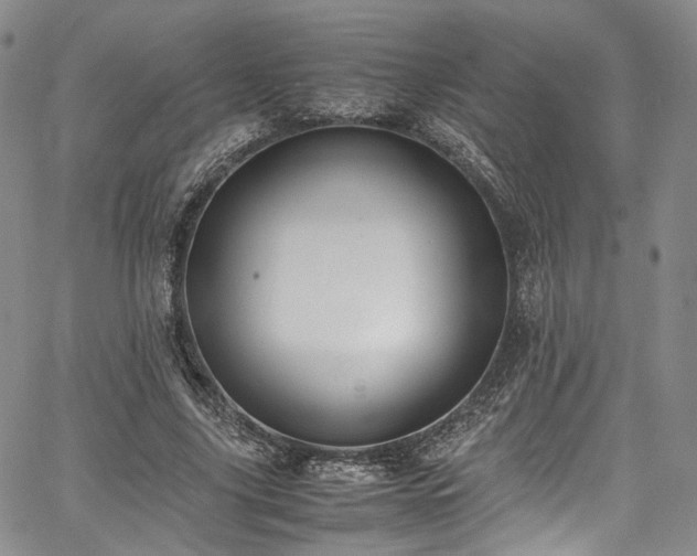 X0000067950635200604201432