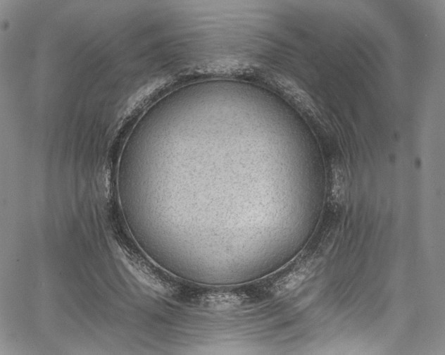 X0000067950636200604201432