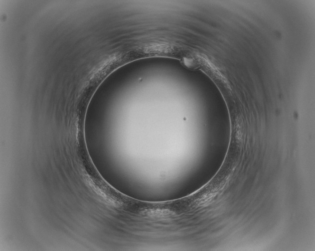 X0000067950637200604201432