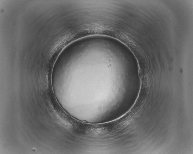 X0000067950638200604201432