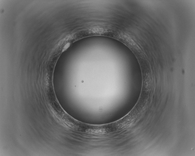 X0000067950639200604201432