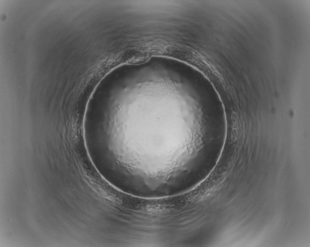 X0000067950641200604201432