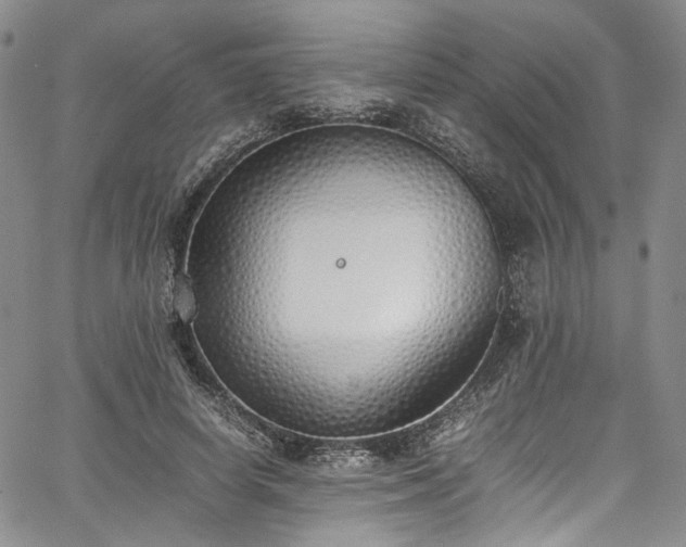 X0000067950642200604201432