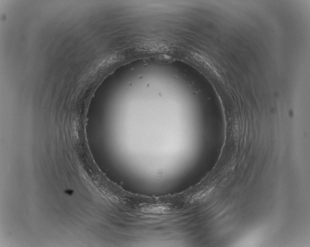 X0000067950643200604201432