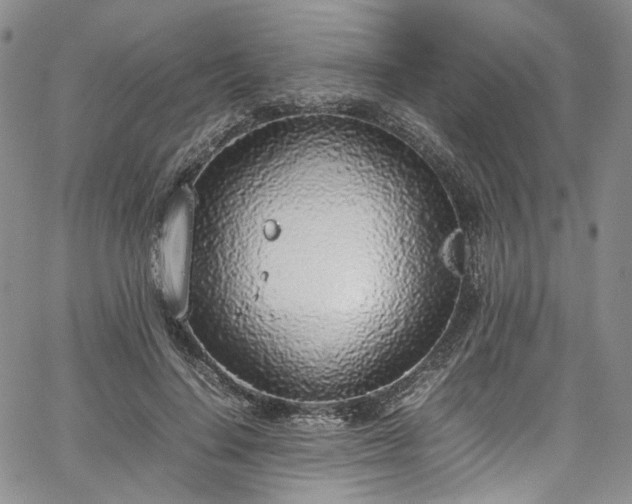 X0000067950644200604201432