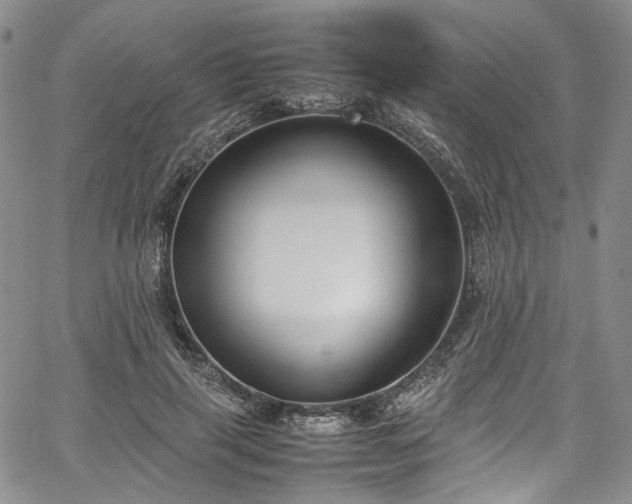 X0000067950645200604201432