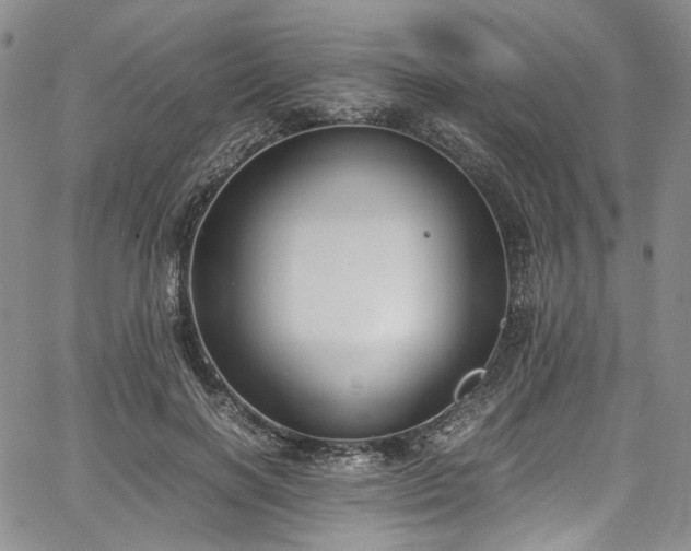 X0000067950646200604201432