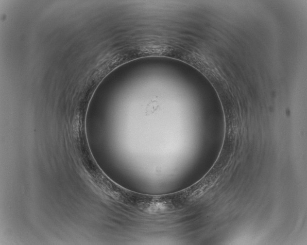 X0000067950647200604201432