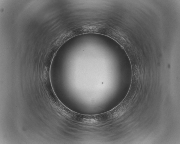 X0000067950649200604201432