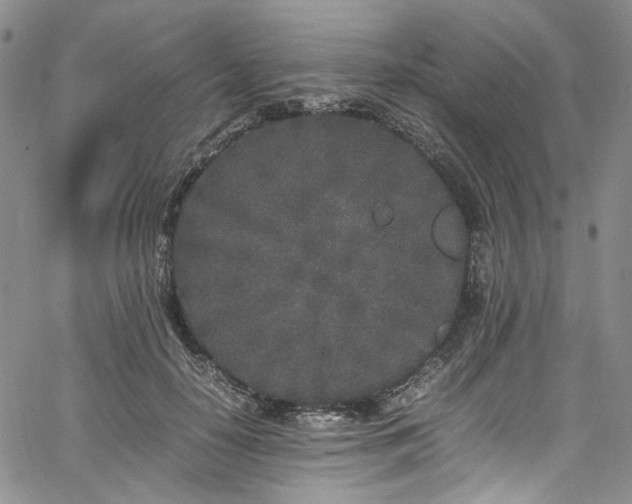 X0000067950650200604201432