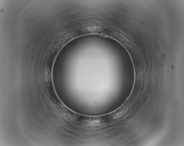 X0000067950651200604201432