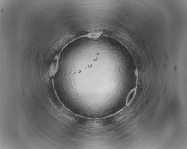 X0000067950652200604201432