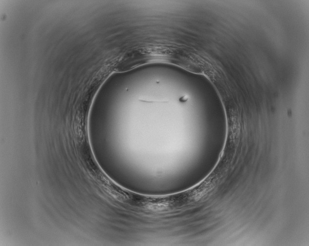 X0000067950653200604201432