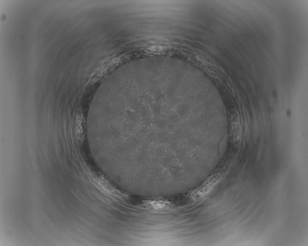 X0000067950654200604201432