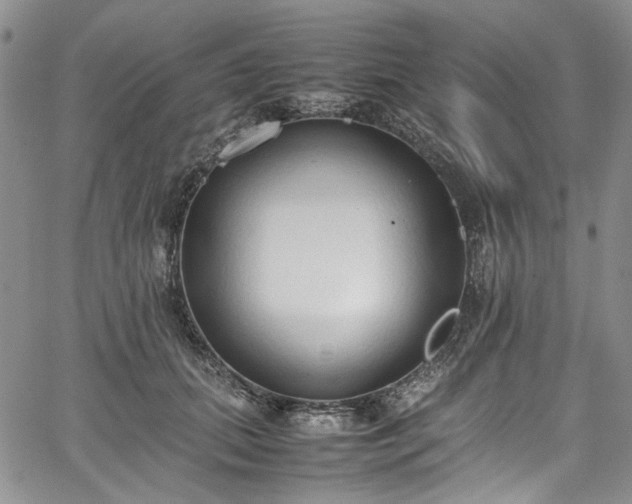 X0000067950655200604201432