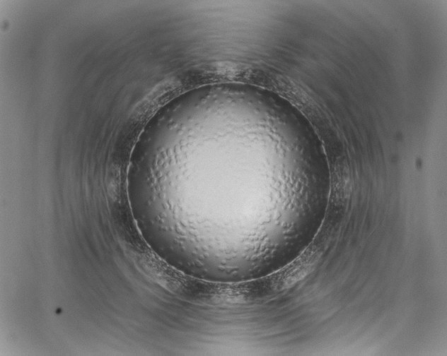 X0000067950656200604201432