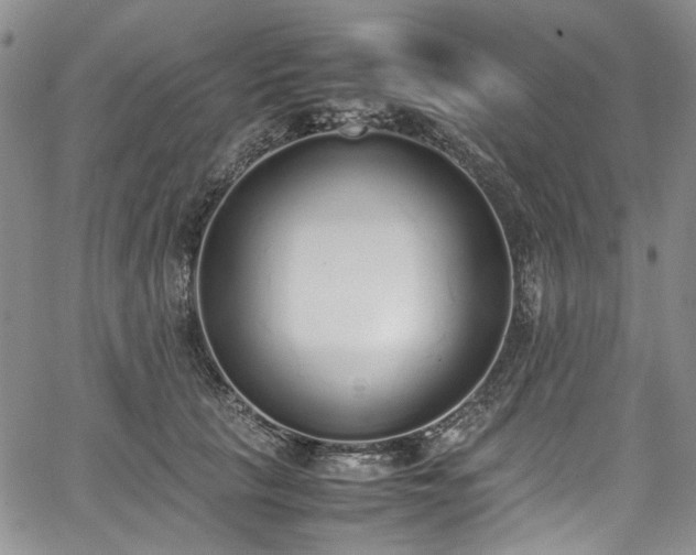 X0000067950657200604201432