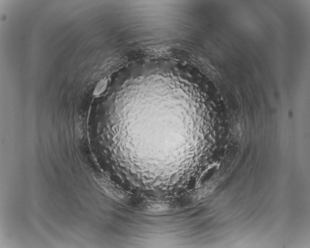 X0000067950658200604201432