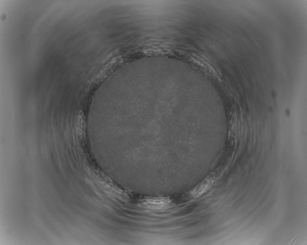 X0000067950659200604201432