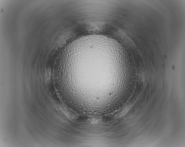 X0000067950660200604201432