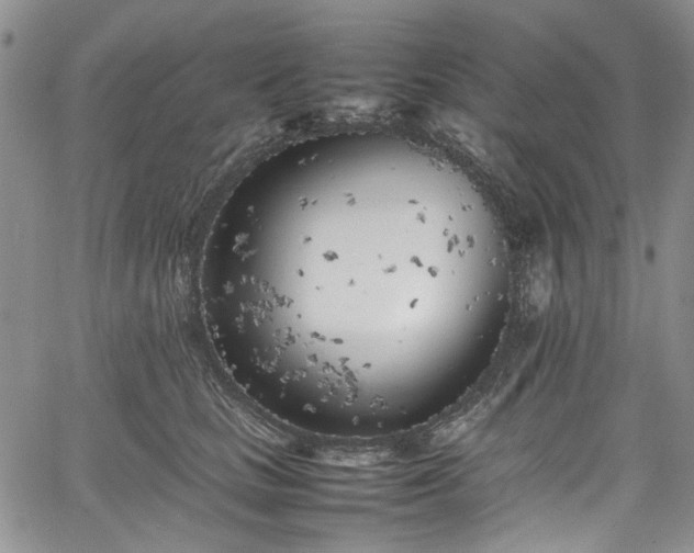 X0000067950661200604201432