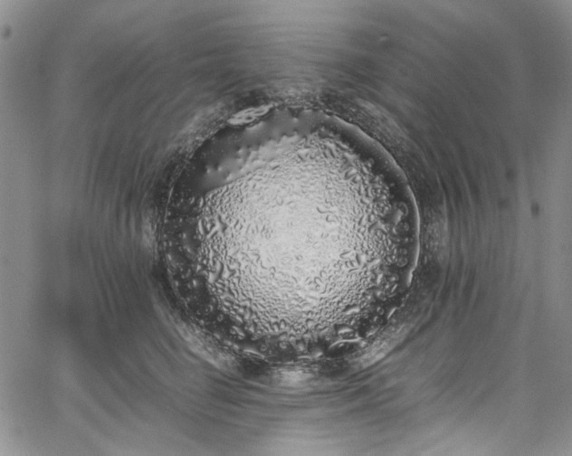 X0000067950662200604201432