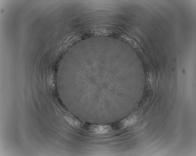 X0000067950663200604201432