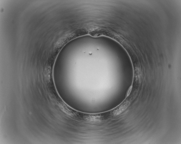 X0000067950664200604201432