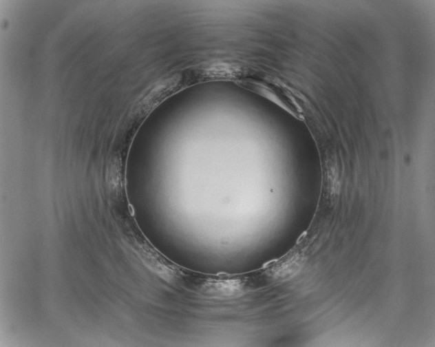 X0000067950665200604201432