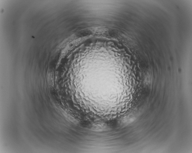 X0000067950666200604201432