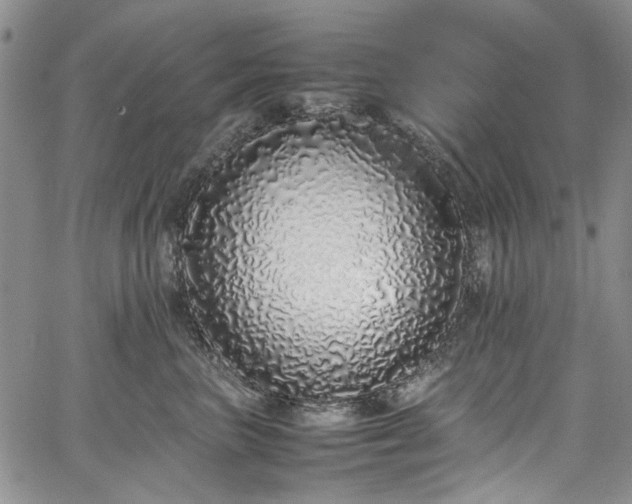 X0000067950667200604201432