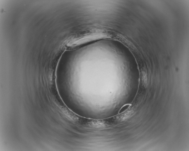 X0000067950668200604201433