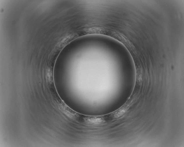 X0000067950669200604201433