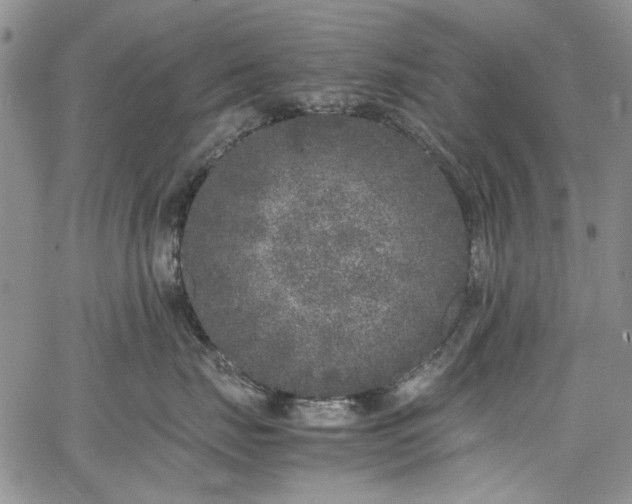 X0000067950671200604201433