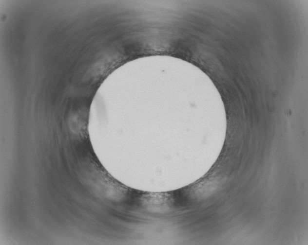 X0000067950672200604201433