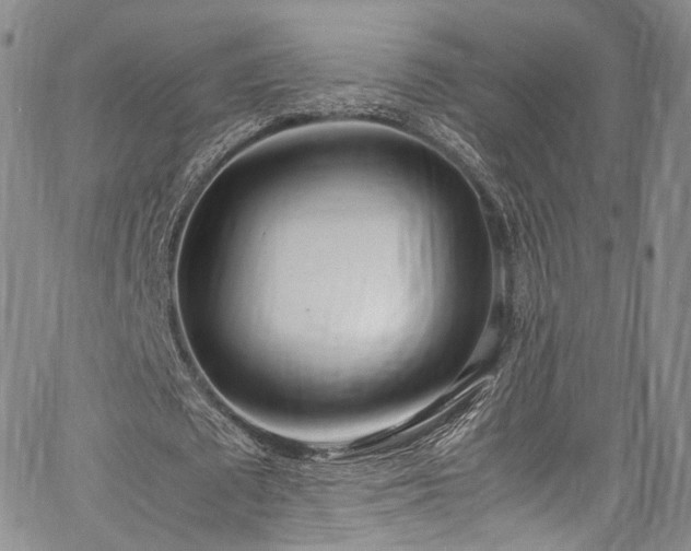 X0000067950673200604201432