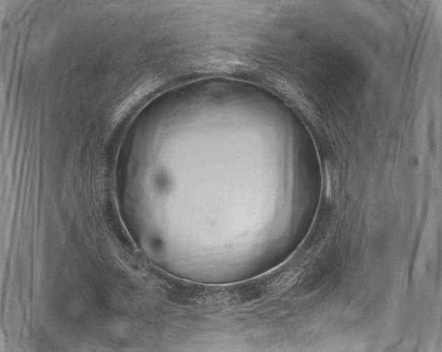 X0000067950675200604201432