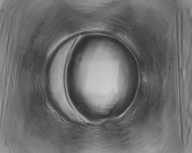 X0000067950676200604201432