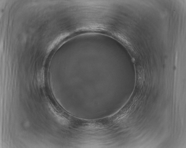 X0000067950678200604201432